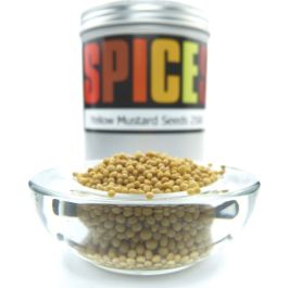 The Mustard Seeds ☆III Centaur Foods Yellow Mustard Seeds (250g)