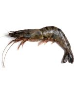Raw King Prawns 8/12 Head On (1kg)