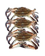 Soft Shell Crab x 18 (1kg)