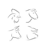 Mixed Grill Mk 1 (per pack)