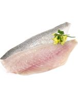 Gilt Head Bream Fillets (10 x 100g - 140g)