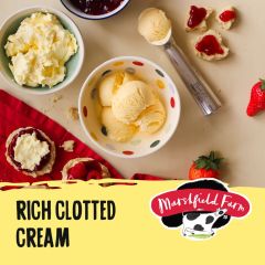 Marshfield Napoli Rich Clotted Cream Ice Cream 