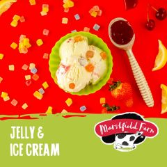 Marshfield Napoli Jelly &amp; Ice Cream Ice Cream 