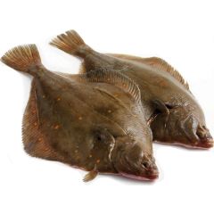 Plaice Whole 