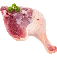 Duck Leg 