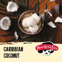 Marshfield Napoli Caribbean Coconut Ice Cream 