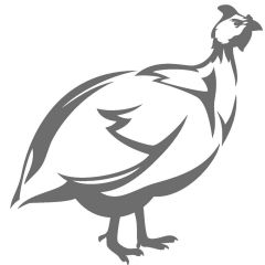 Guinea Fowl Supreme 