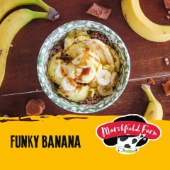 Marshfield Napoli Funky Banana Ice Cream 