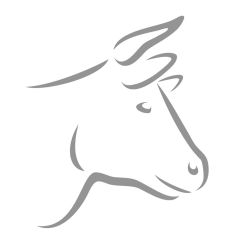 GFAD Gluten Free Beef Burgers 