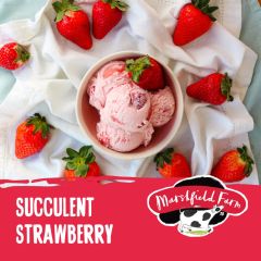 Marshfield Napoli Succulent Strawberry Ice Cream 