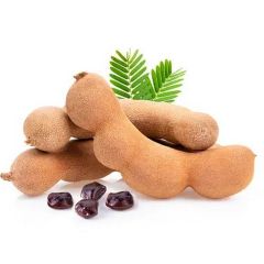 Centaur Foods Tamarind Concentrate Paste 