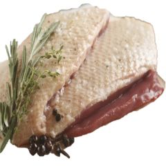Duck Breast 