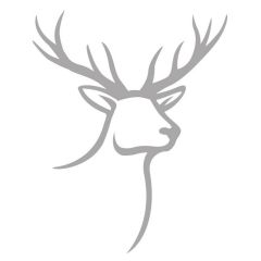 Venison Haunch Whole 