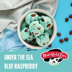 Marshfield Napoli Under The Sea Blue Raspberry Ice Cream 