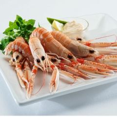 Raw Langoustines 21/30 